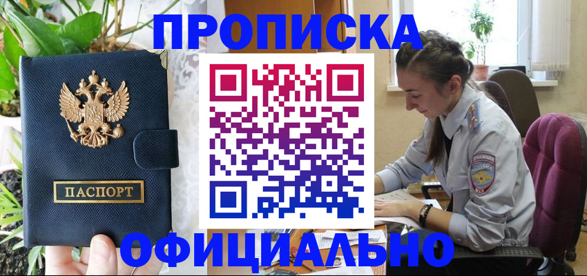 прописка для школы в Фрязино